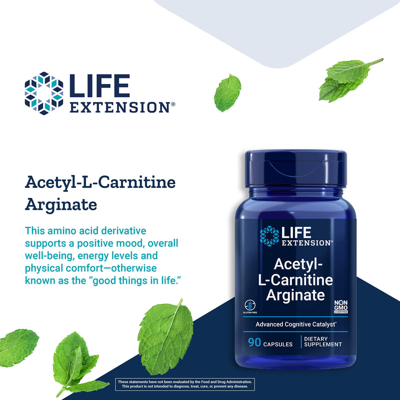 Life Extension Acetyl-L-Carnitine Arginate for Cell Energy & Brain Health Support – Gluten-Free, Non-GMO – 90 Capsules - NewNest Australia