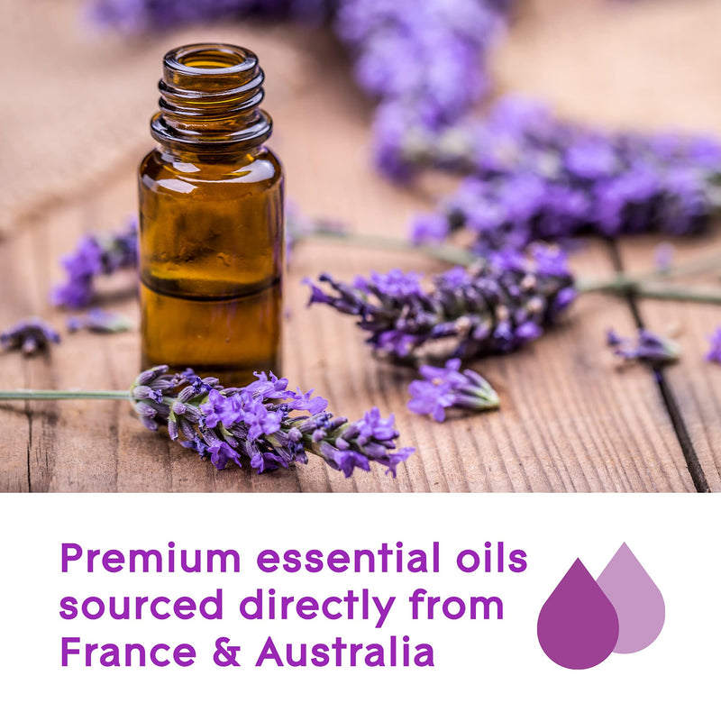 Glade Aromatherapy Reed Diffuser Gift Set, Home Décor Essential Oils Diffuser Calming Fragrance, Moment of Zen with Lavender & Sandalwood, Pack of 2 (2 x 80 ml) - NewNest Australia