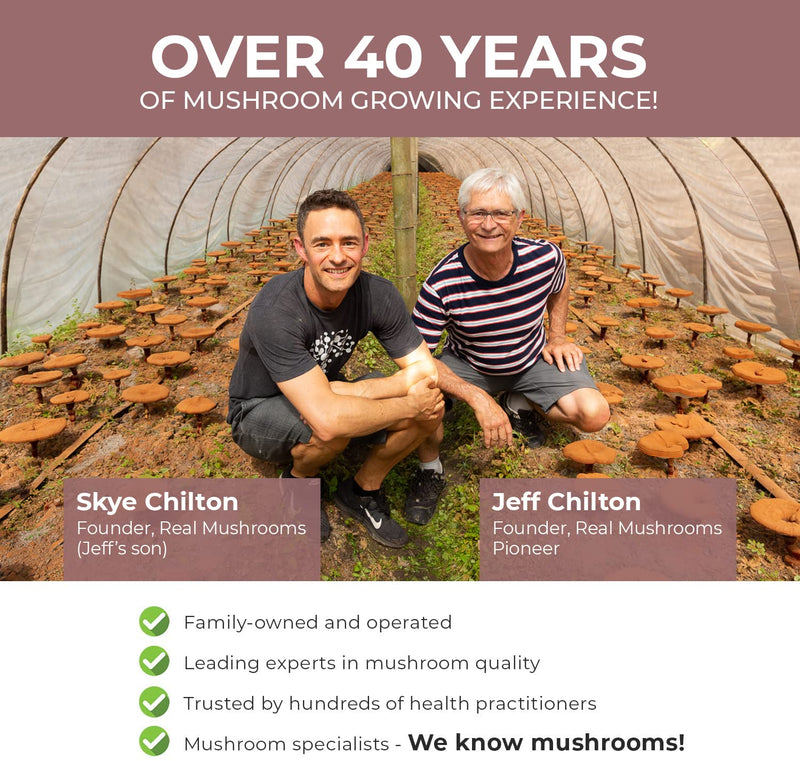Chaga Extract Immune and Digestive Support Organic Capsules - Non-GMO Supplement with Beta-Glucans 120 Count (Pack of 1) - NewNest Australia