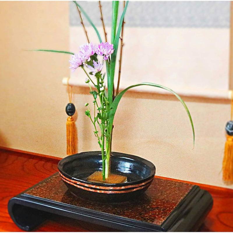 KAKURI Kenzan Flower Frog Black Large Round 3", Japanese Ikebana Flower Arrangement Supplies, Quality Flower Holder Pin Frog, Japanese Stainless Steel, Made in Japan - NewNest Australia