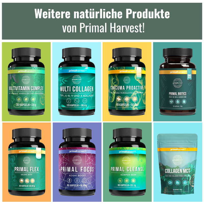 Primal Harvest Curcuma Proactiv - 60 Curcuma Capsules - Curcuma Extract - Organic Curcuma Powder With Bioperine - Turmeric Capsules - 95% Curcumioids - Laboratory Tested Regular - NewNest Australia