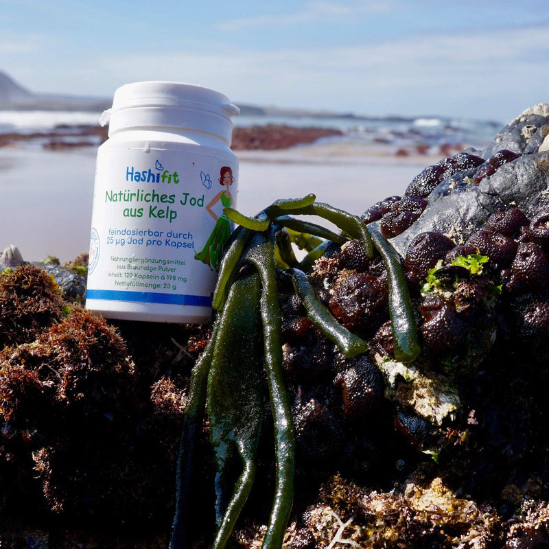 Extra low dosage - 25µg natural iodine from kelp - 120 mini capsules - can be finely dosed in small, fine doses for iodine sensitivity and thyroid Hashimoto - NewNest Australia