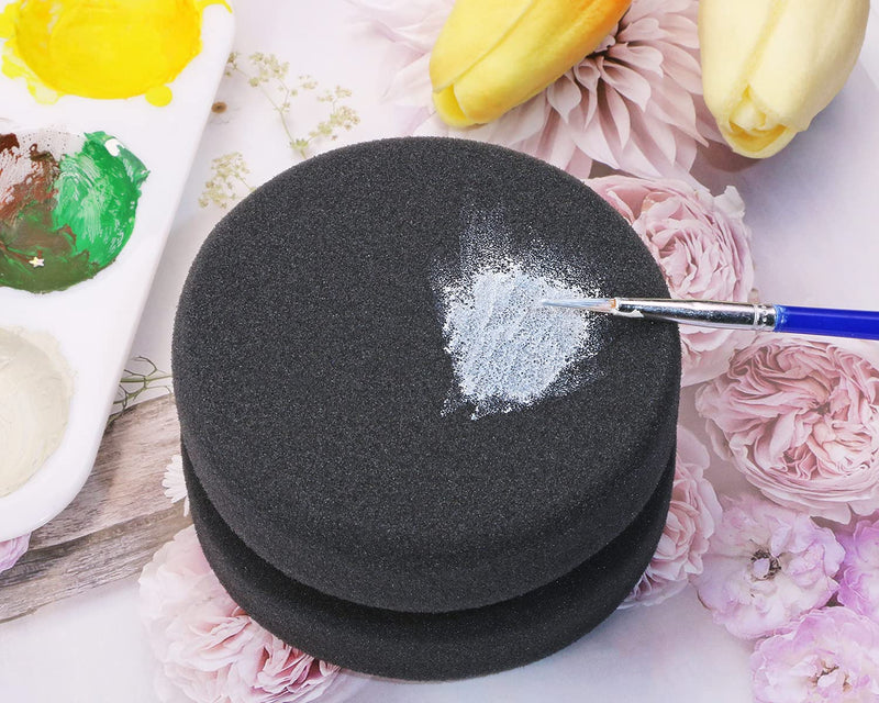 Paint Sponge Applicator PENTA ANGEL 2Pcs Double-Side Round Detail Sponge Painting Sponges for Acrylic Oil Watercolor Art Paint or Car Waxing Kitchen Cleaning (Black) Black - NewNest Australia