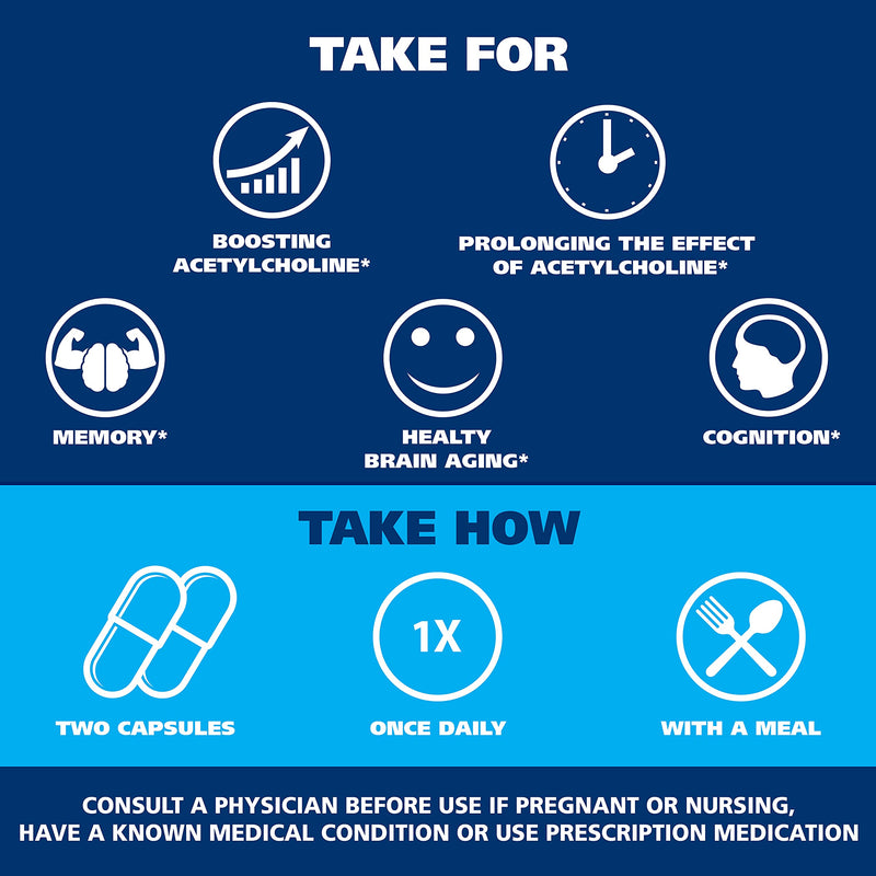 Acetylcholine, Alpha GPC Choline 600mg + Bacopa, Better Than Each Alone. More Reliable Acetylcholine (Responsible for Memory & Learning) Supplement, Dual Action Unlike Competitors. Best Choline Form - NewNest Australia