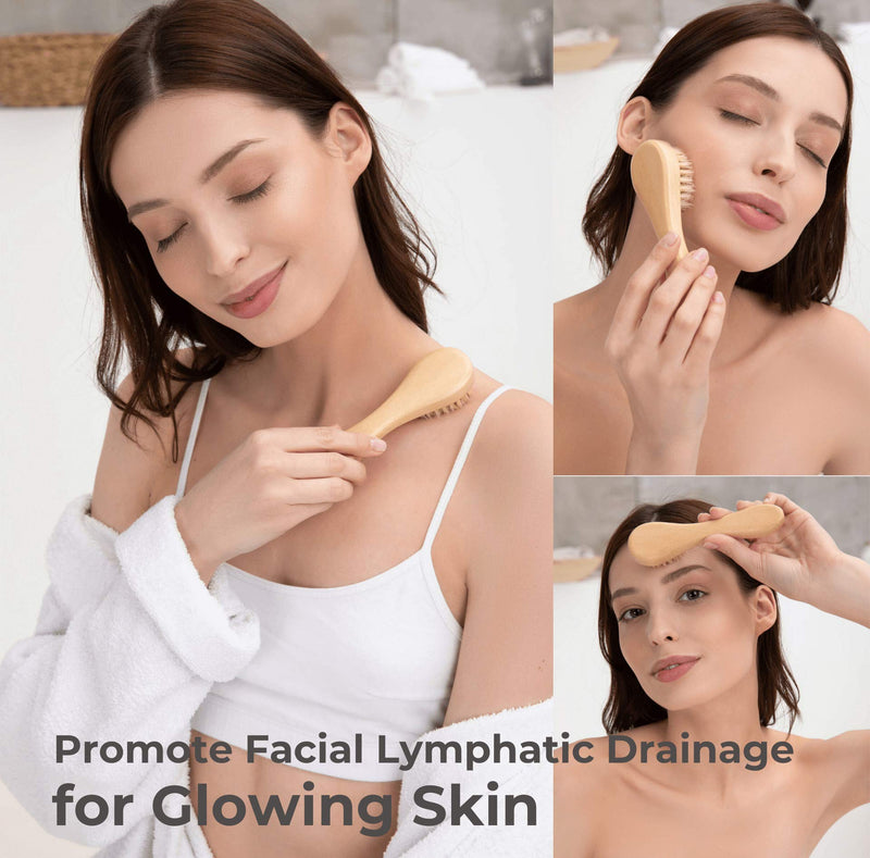 Dry Brushing Body Brush Set - Best for Cellulite, Lymphatic Drainage & Skin Exfoliating - Natural Bristle Spa Kit - Long Handle Back Scrubber, Massager & Face Exfoliator for Radiant Skin - NewNest Australia