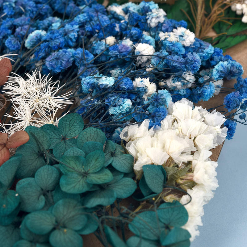 Dried Pressed Flowers for Soap Candle Making and Resin Jewelry Making Pressed Flower (Purple Blue Set) A-blue purple - NewNest Australia