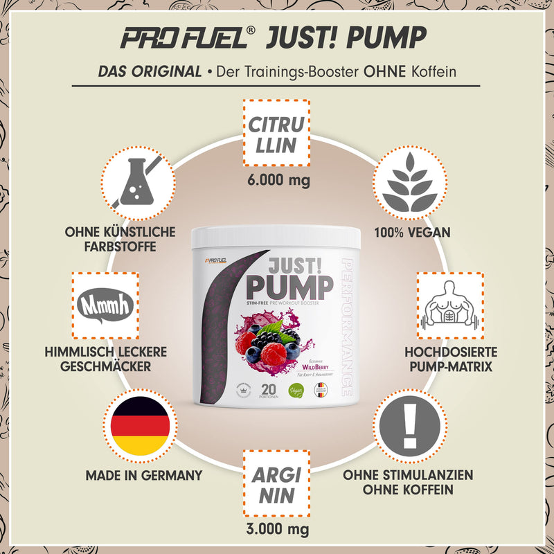 Pump Booster Without Caffeine Wild Berry 440 G ‚ Innovative Pump Formula Made Of Amino Acids And Plant Extracts ‚ High Dose Pre Workout Booster Caffeine Free ‚ Made In Germany ‚ 100% Vegan - NewNest Australia