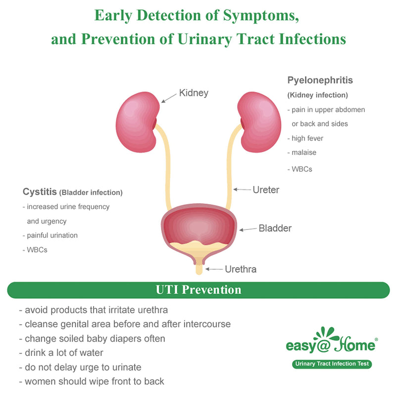 Easy@Home 10 Individual Pouch Urinary Tract Infection FSA Eligible Test Strips, UTI Urine Testing Kit for Urinalysis and Detection of Leukocytes and Nitrites-FDA Cleared for OTC use (UTI-10P) 10 Count (Pack of 1) - NewNest Australia