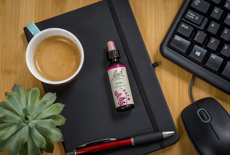 Bach Original Flower Remedy Elm, Vegan formula, Flower Essences, Let me be me, An Individual and Personal Approach to Emotional Wellness, Easy to use, 1 Dropper Bottle x 20 ml - NewNest Australia