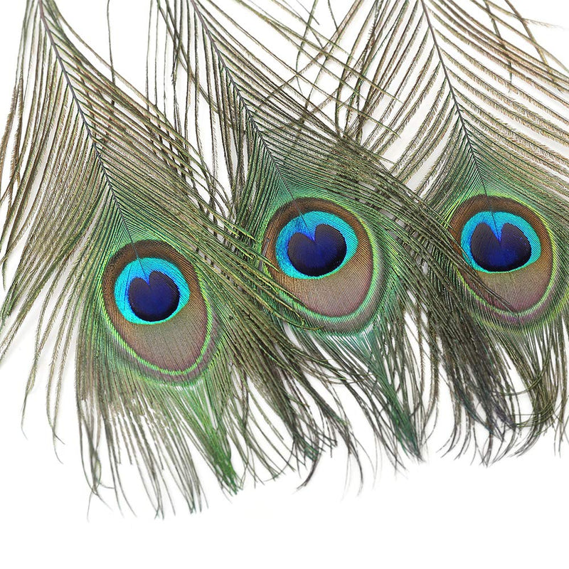 12 PCS Real Natural Peacock Eye Feathers 10-12 inch for DIY Craft, Wedding and Holiday Decorations 12 - NewNest Australia