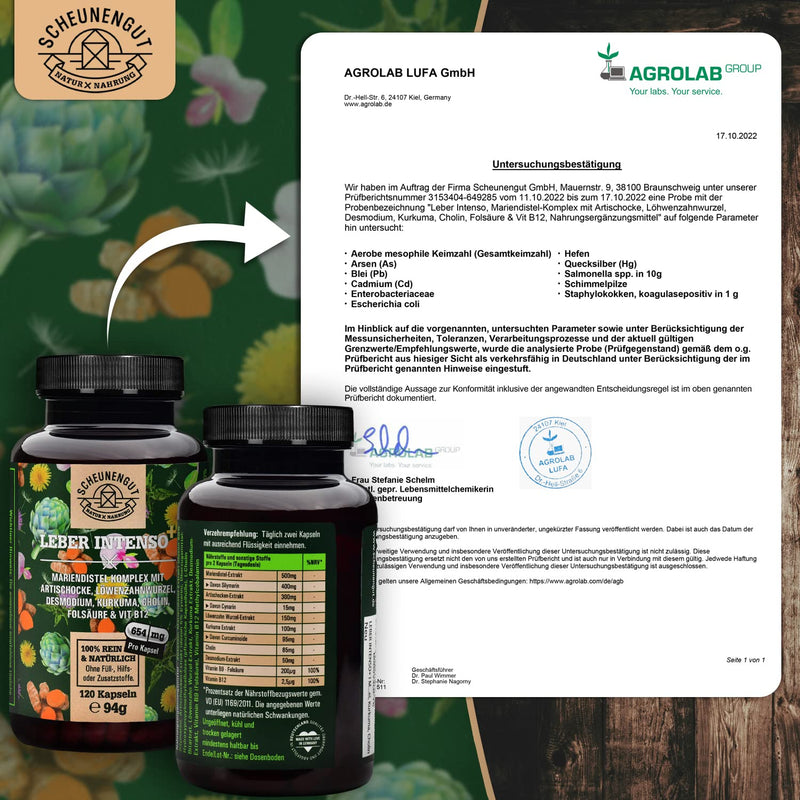 Liver Intenso+ Liver Capsules High Dose - Important: Laboratory Tested With Choline, Milk Thistle, Artichoke, Dandelion & Desmodium Plus 80% Silymarin And 5% Cynarin I 120 Capsules I From De I Scheunengut - NewNest Australia