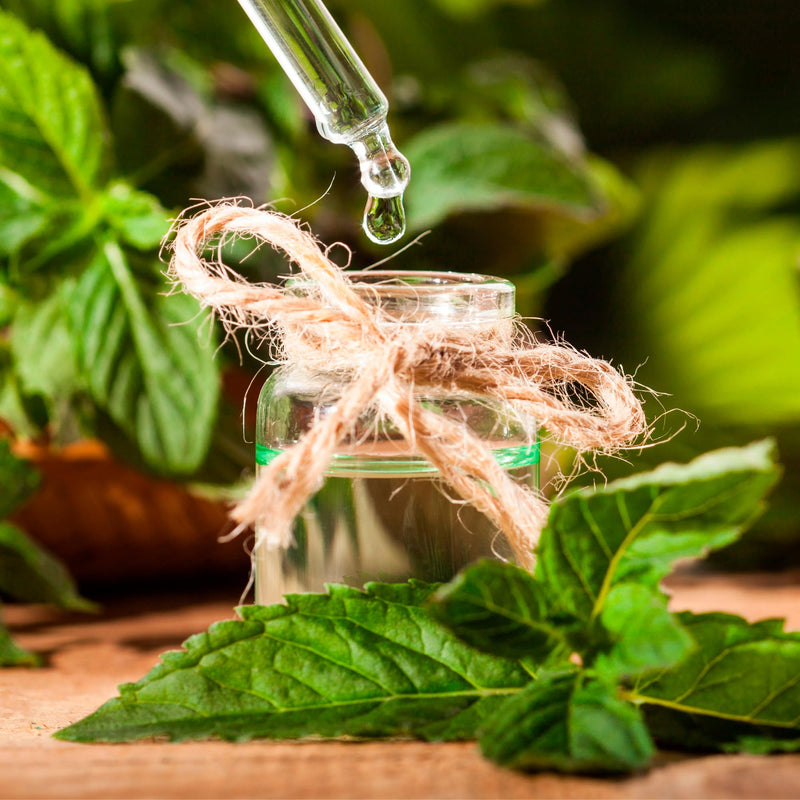 Essences Bulgaria Organic Japanese Mint Essential Oil 10 Ml | Mentha Arvensis | 100% Natural | Undiluted | Organic Certified | Top Quality From Family Business | No Genetic Engineering | Vegan - NewNest Australia