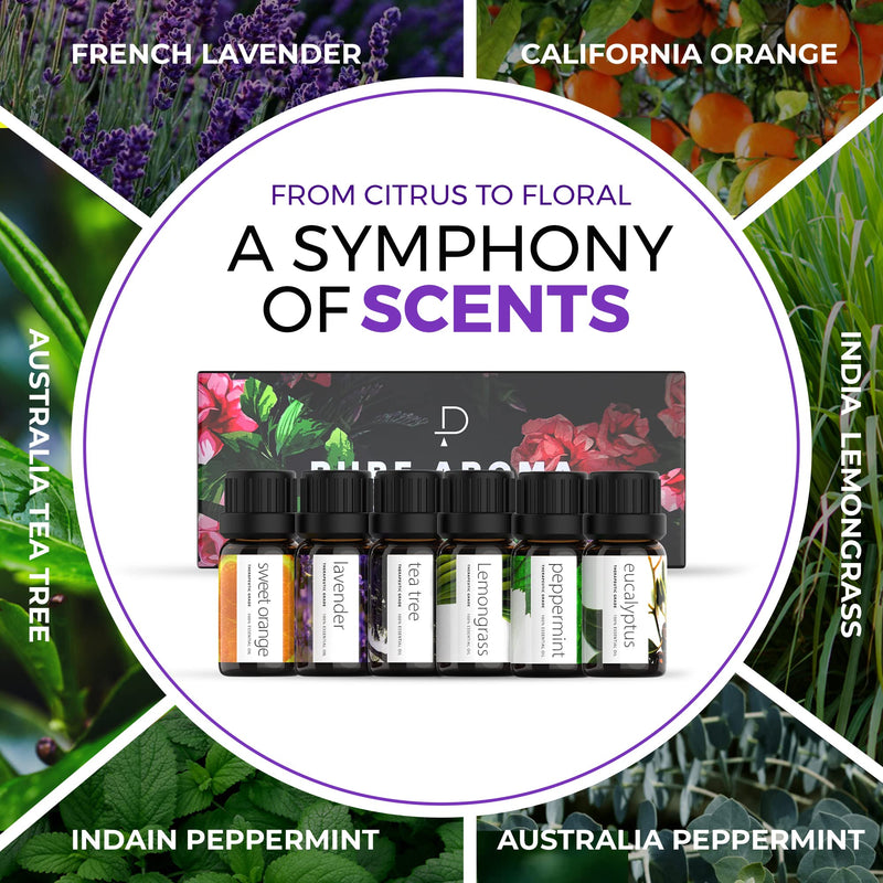Essential Oils by PURE AROMA 100% Pure Therapeutic Grade Oils kit- Top 6 Aromatherapy Oils Gift Set-6 Pack, 10ML(Eucalyptus, Lavender, Lemon Grass, Orange, Peppermint, Tea Tree) - NewNest Australia