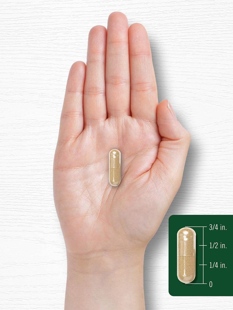 Carlyle Licorice Root Capsules 900 mg | 300 Count | Root Extract Supplement | Non-GMO, Gluten Free - NewNest Australia