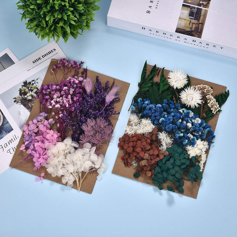 Dried Pressed Flowers for Soap Candle Making and Resin Jewelry Making Pressed Flower (Purple Blue Set) A-blue purple - NewNest Australia