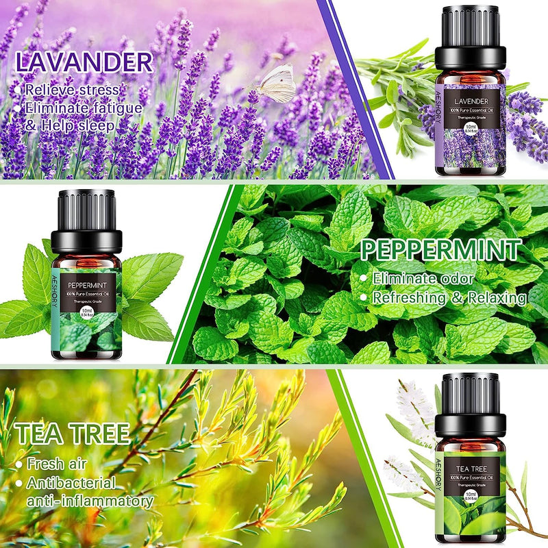 Aeshory Essential Oils Set For Diffuser 6 X 10 Ml, 100% Natural Aromatherapy Fragrance Oil, Aroma Oil Gift Set For Soap, Candles, Humidifier, Spa - Lavender, Mint, Tea Tree, Sweet Orange, Eucalyptus - NewNest Australia