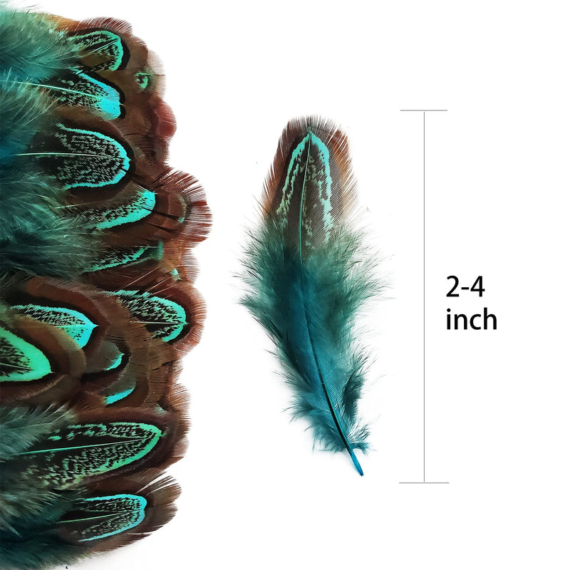50 pcs Natural Pheasant Plumage Feathers 2-3 Inches Plumage Feathers for Sewing Crafts Clothing Decorating Accessories -Blue Blue 50pcs - NewNest Australia