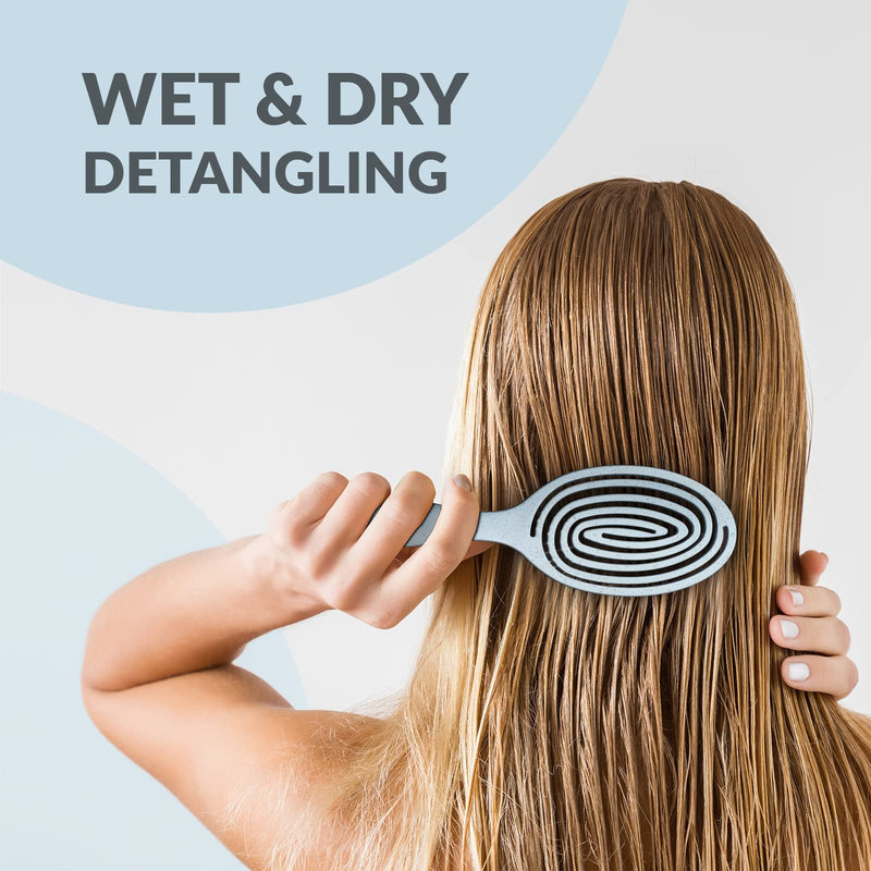 marQus Detangle Hair Brush women and men, Exclusive Ultra-soft bending Bristles and Body - Glide Through Tangles With Ease For All Hair Types - Women, Men, Wet And Dry Hair, 1pcs Arctic Brush - NewNest Australia