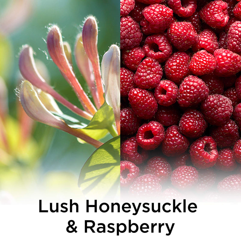 Air Wick Plug in Scented Oil Refill Freshener Essential Oils, Lush Honeysuckle & Raspberry, Lush Honeysuckle and Raspberry, 5 Count - NewNest Australia