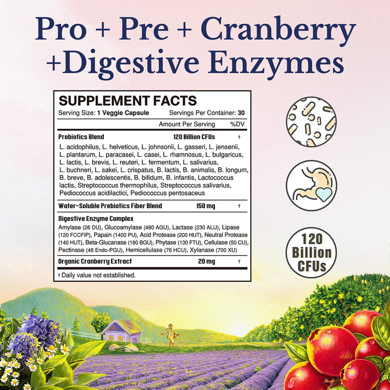 Vitalitown Women’s Probiotics 120 Billion CFUs 1 Daily | 30 Strains, with Prebiotics & Digestive Enzymes & Cranberry | Shelf Stable | Gut & Vaginal Health | Vegan Non-GMO | 30 Delayed Release Veg Caps 30 Count (Pack of 1) - NewNest Australia