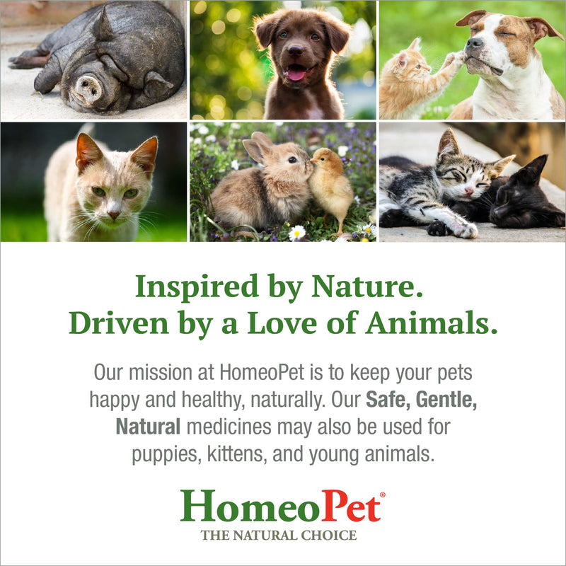 HomeoPet COUGH - 100% Natural Pet Medicine. For barky cough, persistent coughs, kennel cough, sneezing and dry nose. For puppies, kittens, young animals & senior pets. 15ml/up to 90 doses per bottle - NewNest Australia