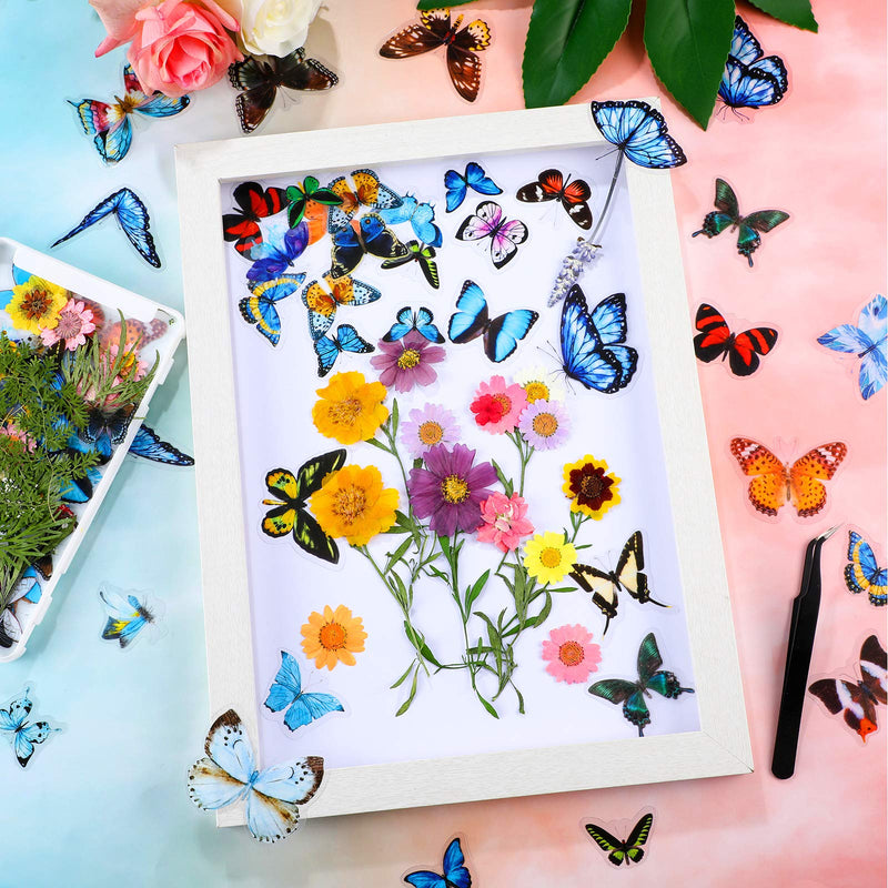 Dried Pressed Flower and Butterfly Transparent Sticker Set, Natural Real Dried Flower Butterfly Scrapbook Decal with Box and Curved Tweezers for DIY Decoration Resin Making (Bright Series) Bright Series - NewNest Australia