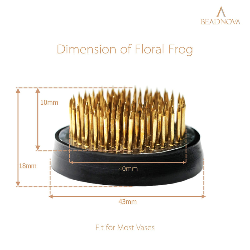 BEADNOVA Flower Frog Ikebana Kenzan with Rubber Gasket Floral Frog for Arrangements Ikebana Vase (1.6 Inch/40mm, 1pcs) 40mm, 1pcs - NewNest Australia
