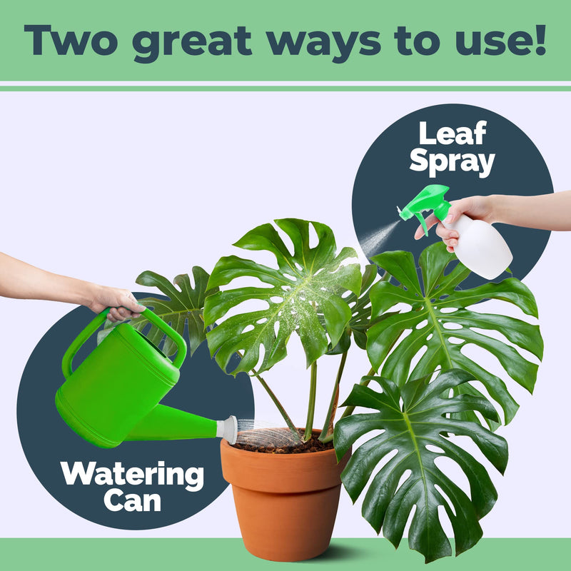 Monstera Plant Food for Monsteras and Philodendrons, Tropical Houseplant Liquid Fertilizer 8 oz (250mL) 8 oz (1/2 Pint) - NewNest Australia