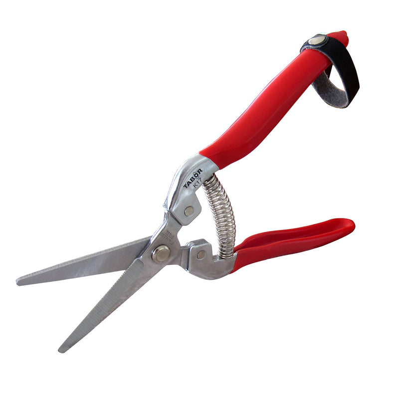 TABOR TOOLS Pruning Shears, Florist Scissors, Multi-Tasking Garden Snips for Arranging Flowers, Trimming Plants and Harvesting Herbs, Fruits or Vegetables. K17A. (Straight, Stainless Steel Blades) - NewNest Australia