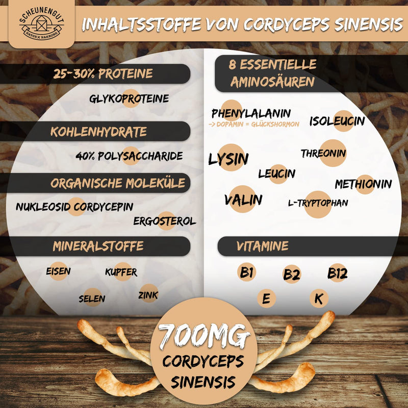 Cordyceps Sinensis - 1400Mg Per Daily Dose - Important: 10:1 Extract (=14,000Mg Cordyceps Per Dose) I With 40% Bioactive Polysaccharides I 180 Cordyceps Capsules (Cs-4 Extract) I From De I Scheunengut - NewNest Australia