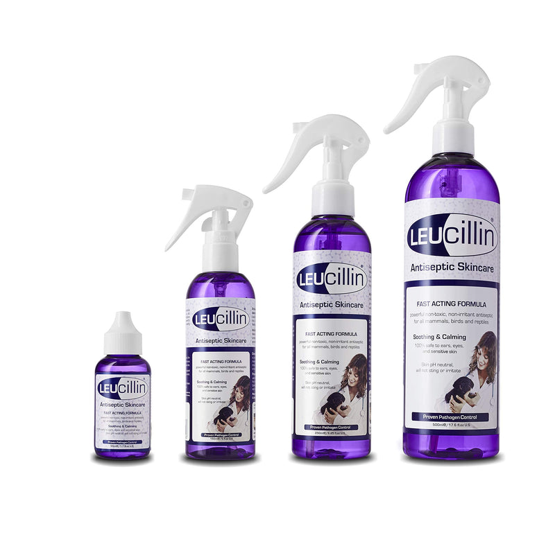 Leucillin Natural Antiseptic Spray | Antibacterial, Antifungal & Antiviral | for Dogs, Cats and All Animals | for Itchy Skin, Minor-wound Care and All Skin Care Health | 250ml - NewNest Australia