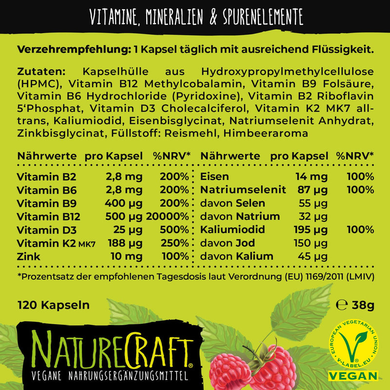 Vegan All-in-One - Vitamin B12+D3+K2+B2+B6+B9 Folic Acid + Zinc + Iron + Selenium + Sodium + Potassium + Iodine - Complex with 120 capsules (4 month supply) - NewNest Australia