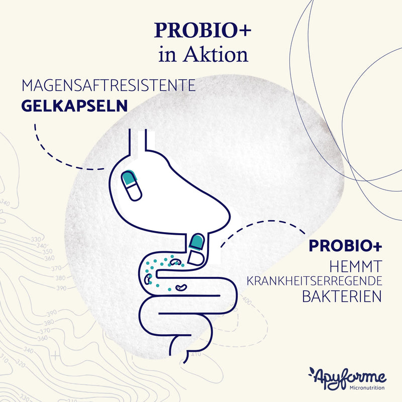 Apyforme - Probiotics Intestinal Cleansing - 60 Billion CFU/Day - 10 Exclusive Strains Including Lactobacillus - 60 Enteric-Coated Capsules - NewNest Australia