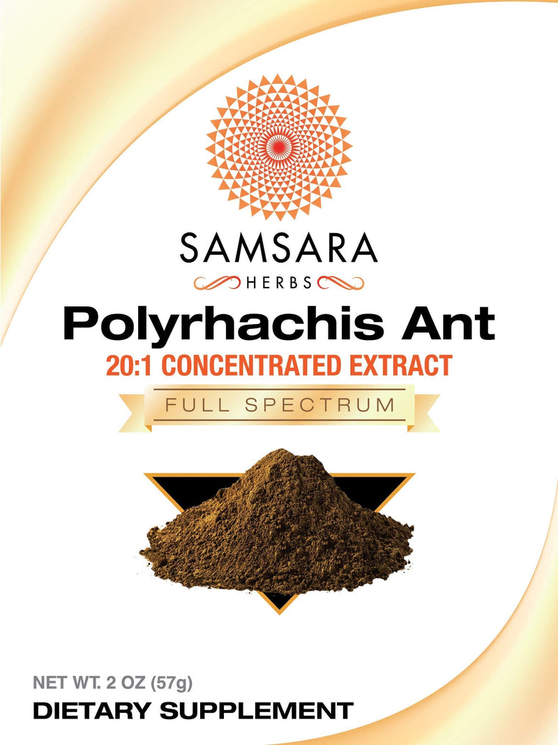 Samsara Herbs Polyrhachis Ant Extract Powder - 20:1 Concentrated Extract (2oz/57g) 2 Ounce (Pack of 1) - NewNest Australia