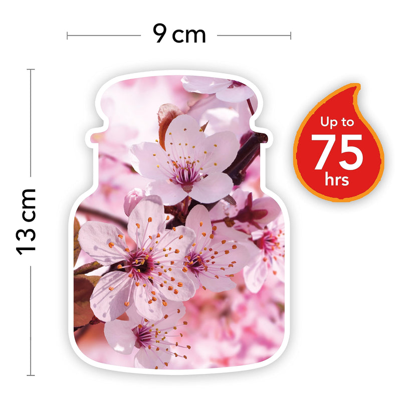 Scented Yankee Candle - NewNest Australia