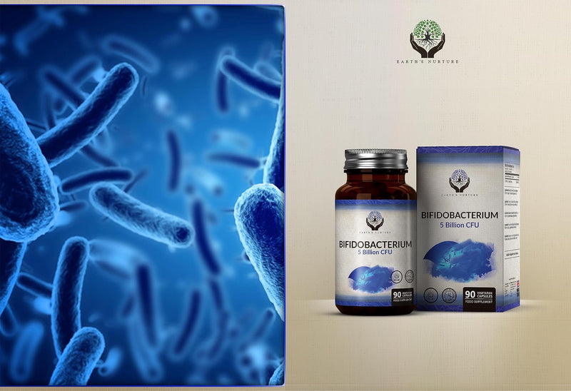 EN Bifidobacterium | 90 high-dose Bifidobacterium probiotic capsules - 5 billion KBU of bifidobacteria per capsule | GMO, gluten and allergen free | Made in Britain - NewNest Australia
