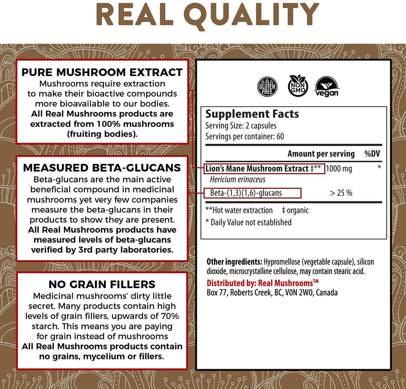 Lions Mane Brain and Focus Supplements - Mushroom Powder Extract Capsules - Non GMO and Gluten Free Supplement for Better Cognitive Health 120 Count (Pack of 1) - NewNest Australia