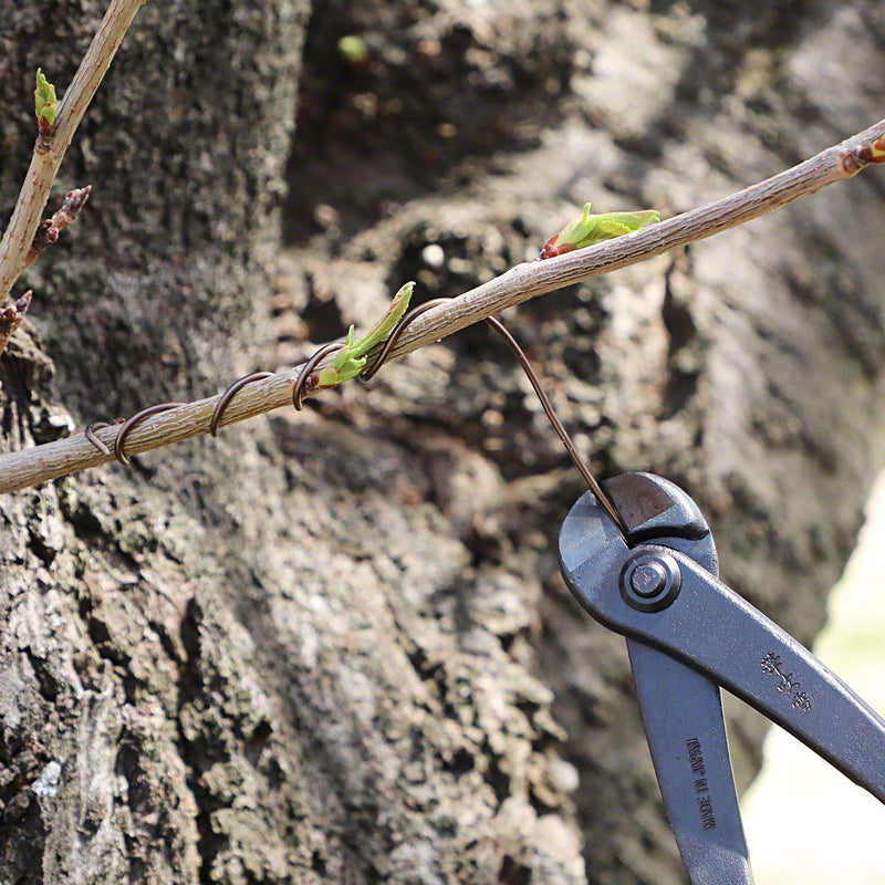 Hanafubuki Wazakura Hand Forged Bonsai Tree Wire Cutter Made in Japan 7.7inch(195mm), Japanese Garden Tool, Rounded Ends - Black 7.7inch(195mm) - NewNest Australia