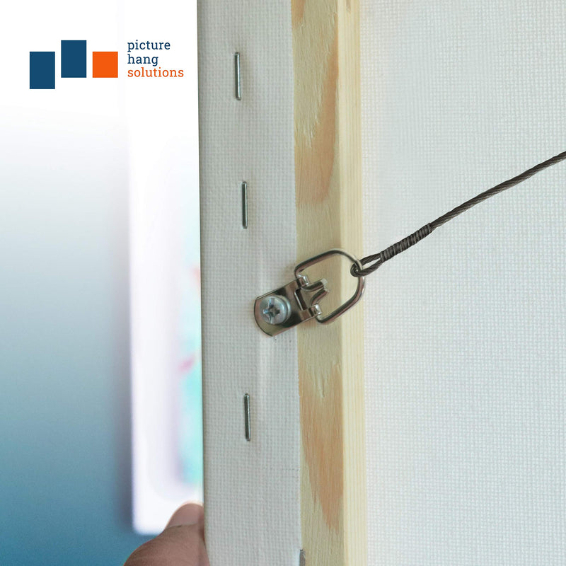 D Ring Picture Hangers with Screws - 100 Pack - Bulk D Rings - Pro Quality d-Rings - Picture Hang Solutions - NewNest Australia