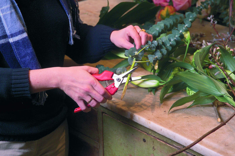 Felco Pruning Shears (F 310) - High Performance One-Hand Garden Pruners - F-310 F 310 Pruner - NewNest Australia