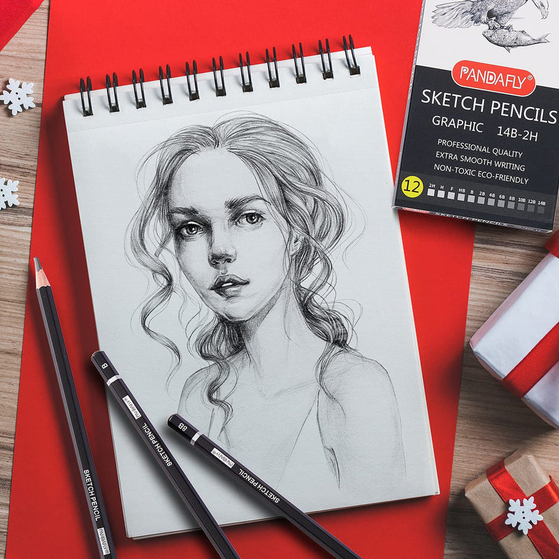 PANDAFLY Professional Drawing Sketching Pencil Set - 12 Pieces Art Drawing Graphite Pencils(14B - 2H), Ideal for Drawing Art, Sketching, Shading, Artist Pencils for Beginners & Pro Artists - NewNest Australia