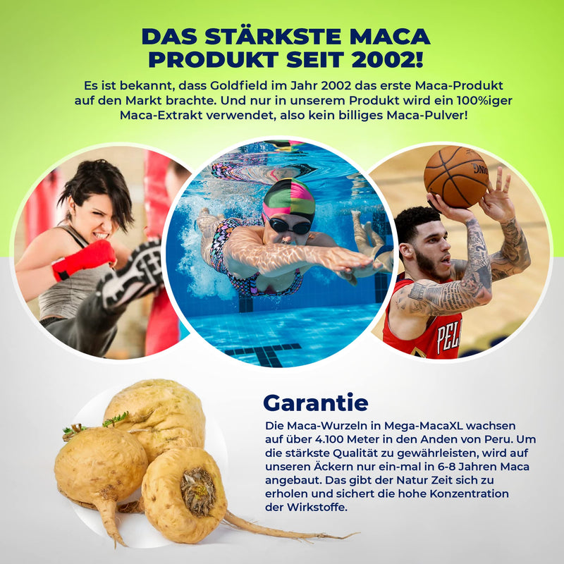 Goldfield Mega Maca XL | Increase Your Strength, Endurance, Potency, Concentration and Wellbeing | Extract from the Maca Root in Peru - for More Muscle Growth | Over 60 Natural Active Ingredients - NewNest Australia