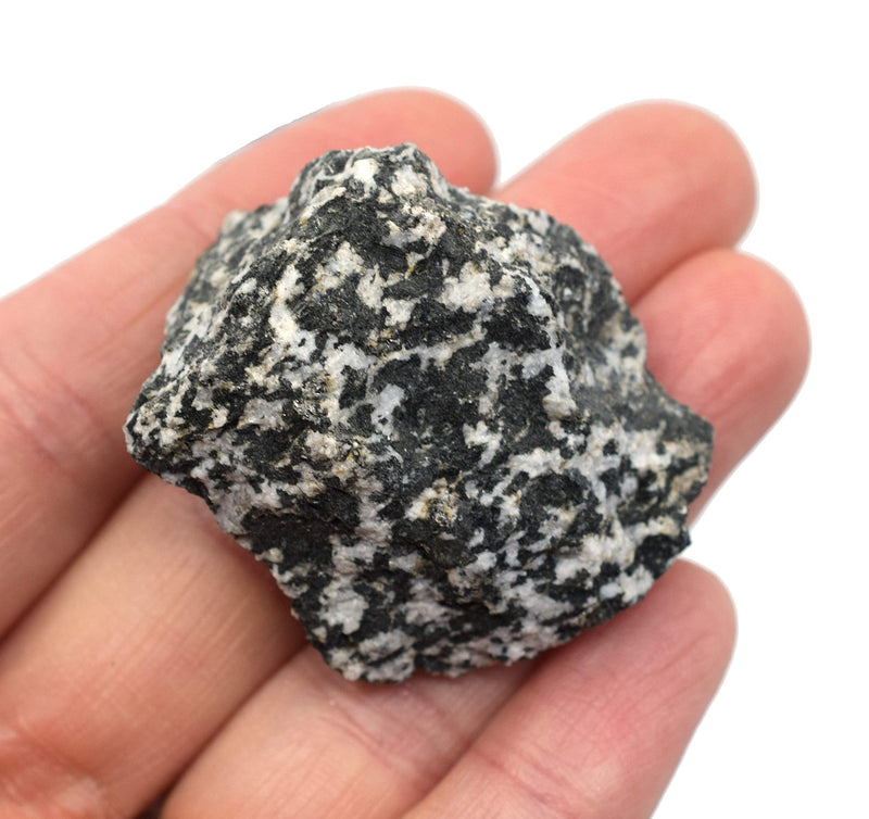 6PK Raw Diorite, Igneous Rock Specimens - Approx. 1" - Geologist Selected & Hand Processed - Great for Science Classrooms - Class Pack - Eisco Labs 6 - NewNest Australia