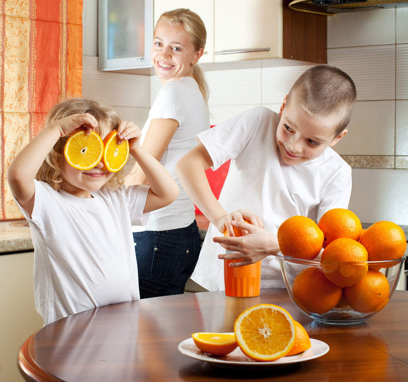 NewNest Australia - Hand Juicer Citrus Orange Squeezer Manual Lid Rotation Press Reamer for Lemon Lime Grapefruit with Strainer and Container, 2 Cups Orange Juicer 