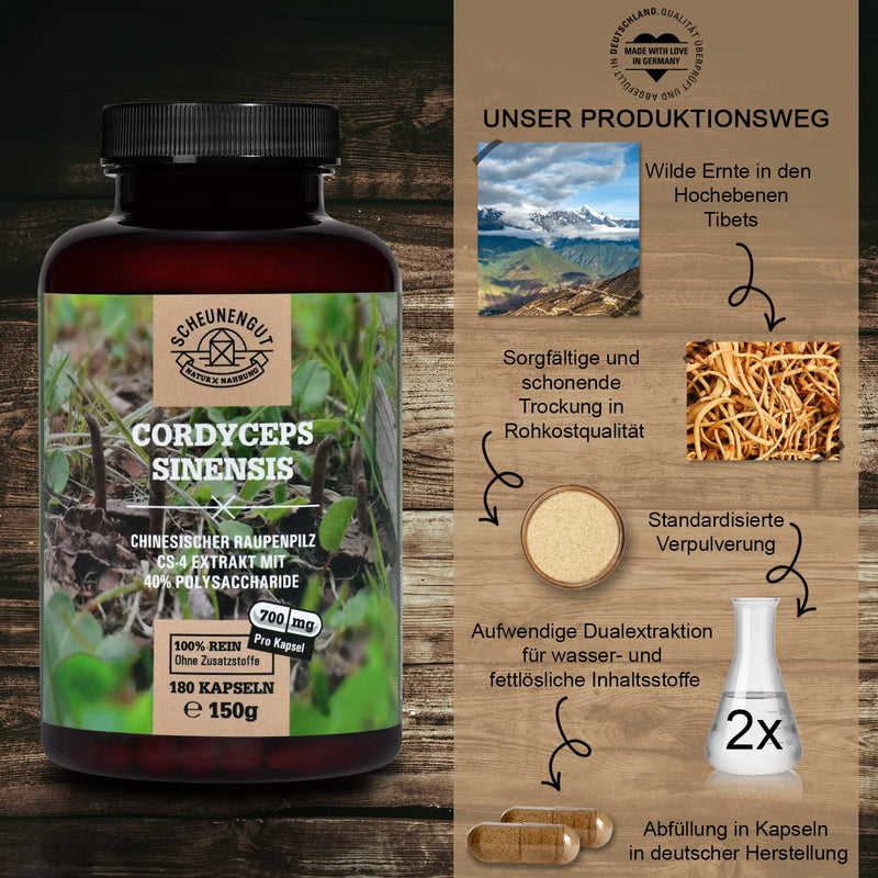 Cordyceps Sinensis - 1400Mg Per Daily Dose - Important: 10:1 Extract (=14,000Mg Cordyceps Per Dose) I With 40% Bioactive Polysaccharides I 180 Cordyceps Capsules (Cs-4 Extract) I From De I Scheunengut - NewNest Australia