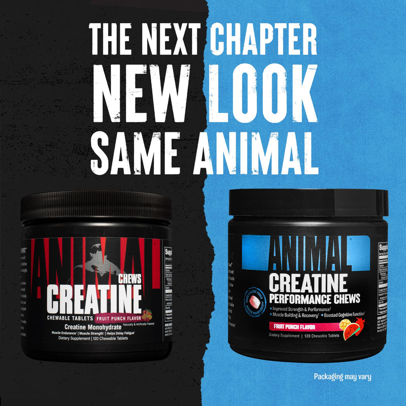 Universal Nutrition Animal Creatine Chews (Fruit Punch) Contains 5 G Easily Absorbent Creatine Monohydrate & Sea Salt For Absorption & Pump, Increases Training Capacity Of The Body, 120 Chewable Tablets - NewNest Australia