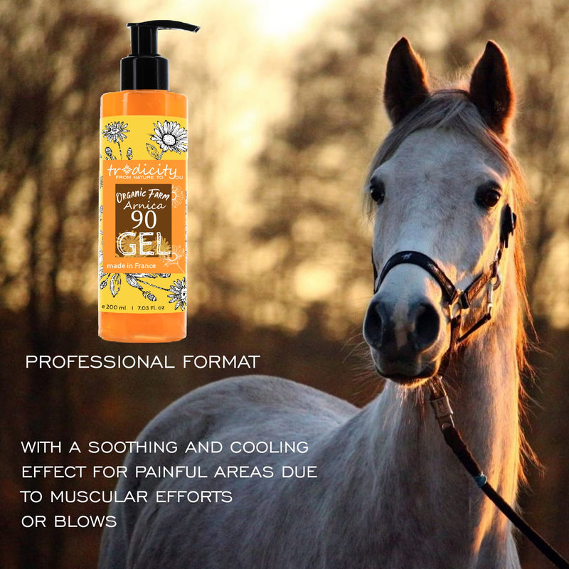 Arnica Montana Gel 90% 200Ml Arnica Ointment Highly Concentrated Relief From Muscle Pain Tired Legs Muscle Relaxation And Recovery Post Workout Solution Gel For Athletes - NewNest Australia