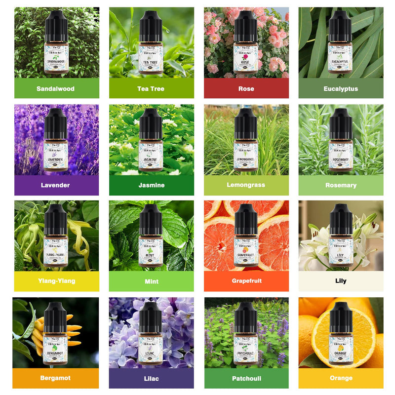 Essential Oils Set Of 16 Essential Oils, 100% Natural Candle Fragrance Oil - Lavender, Tea Tree, Peppermint, Ylang Ylang, Vanilla, Grapefruit, Eucalyptus, Rosemary - 6 Ml Each - NewNest Australia