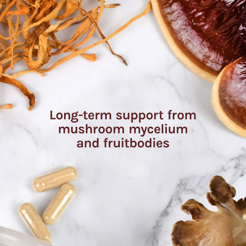 Host Defense, MyCommunity Capsules, Advanced Immune Support, Mushroom Supplement with Lion’s Mane and Reishi, 30 30 Count (Pack of 1) Standard Packaging - NewNest Australia