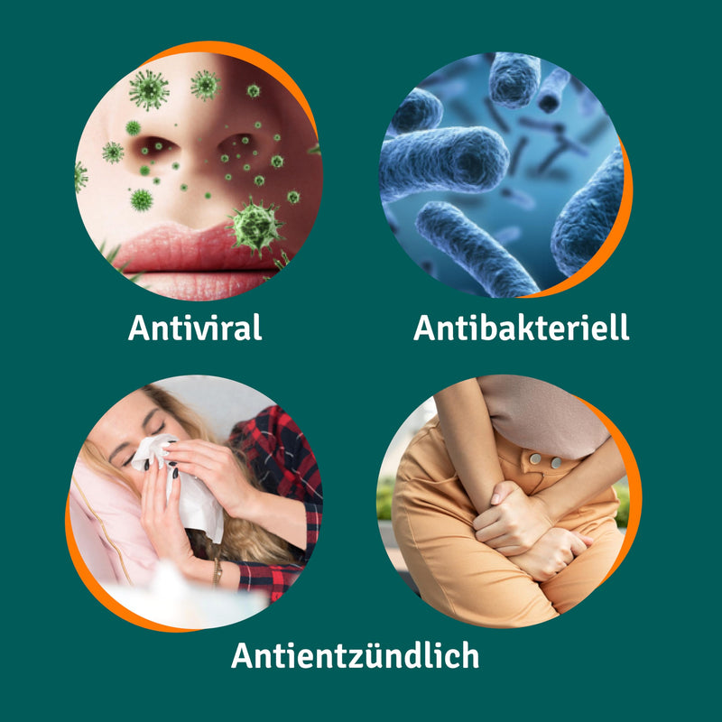 ANGOCIN Anti-Infection N - herbal medicine to ward off infections - for colds and bladder infections - 1 x 50 film-coated tablets - NewNest Australia
